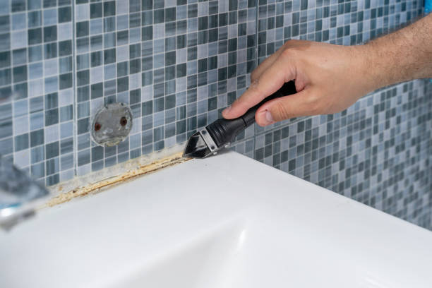 Best Commercial Mold Removal  in Hartford, CT