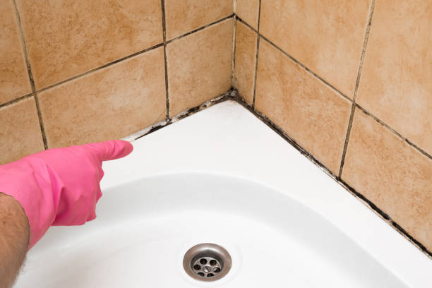 Attic Mold Removal in Hartford, CT